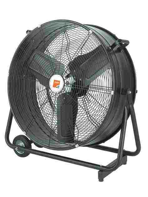 Fan